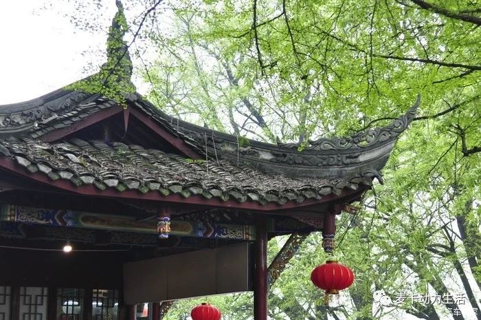 微信图片_20190907111520