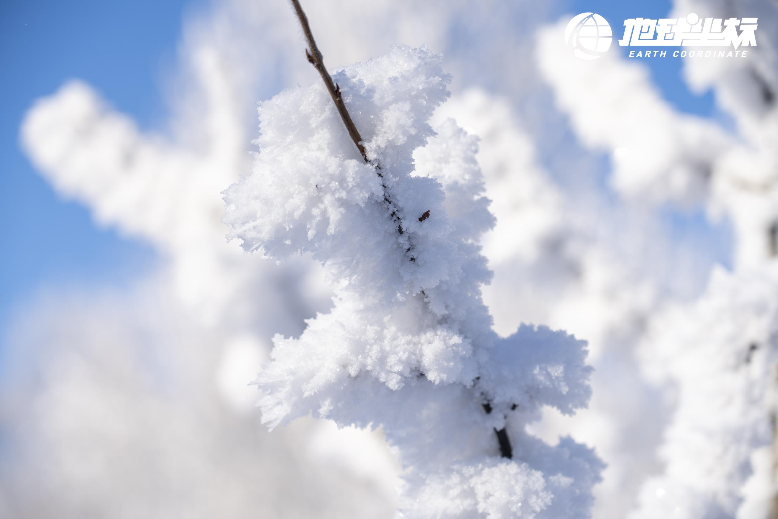 arrb--159159--1735796328436_138239--4