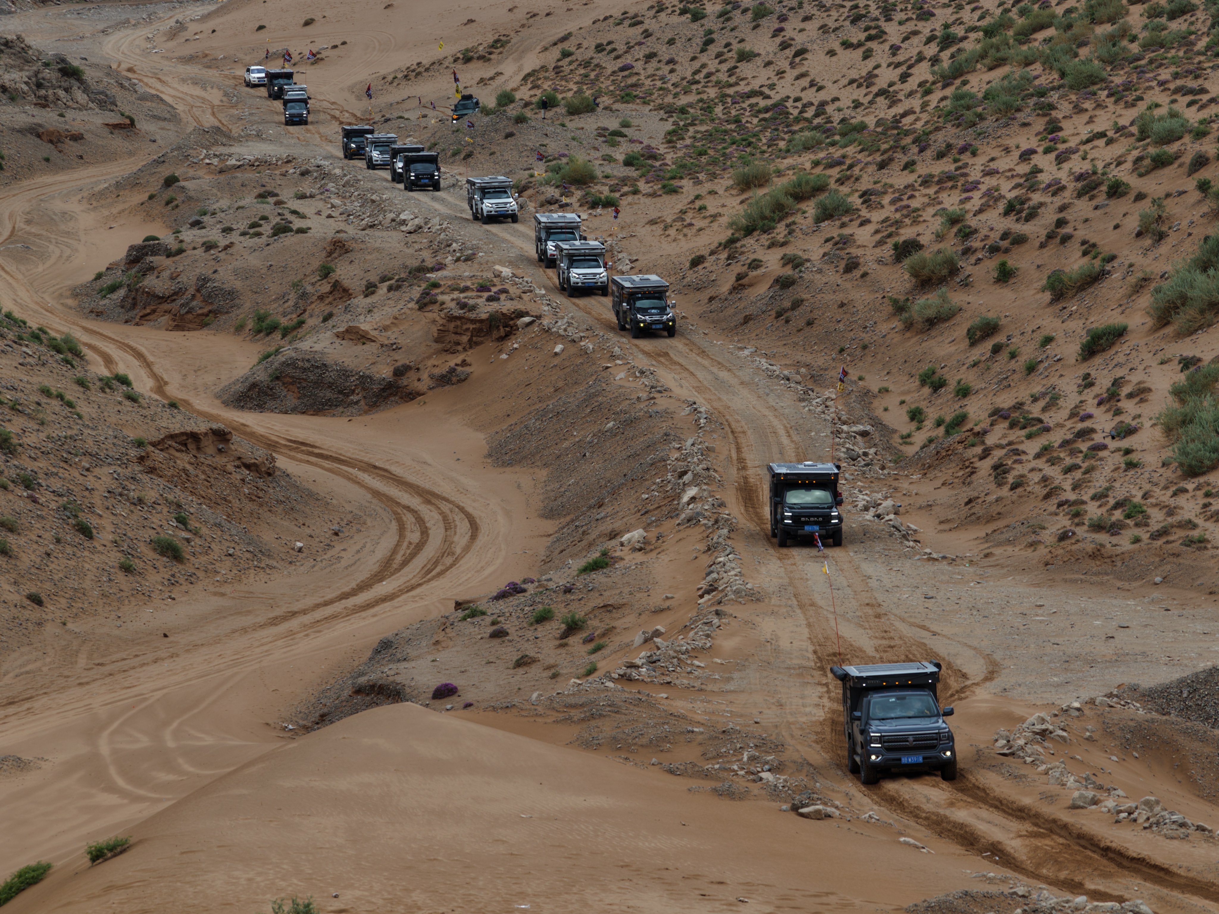 微信图片_20250528144545