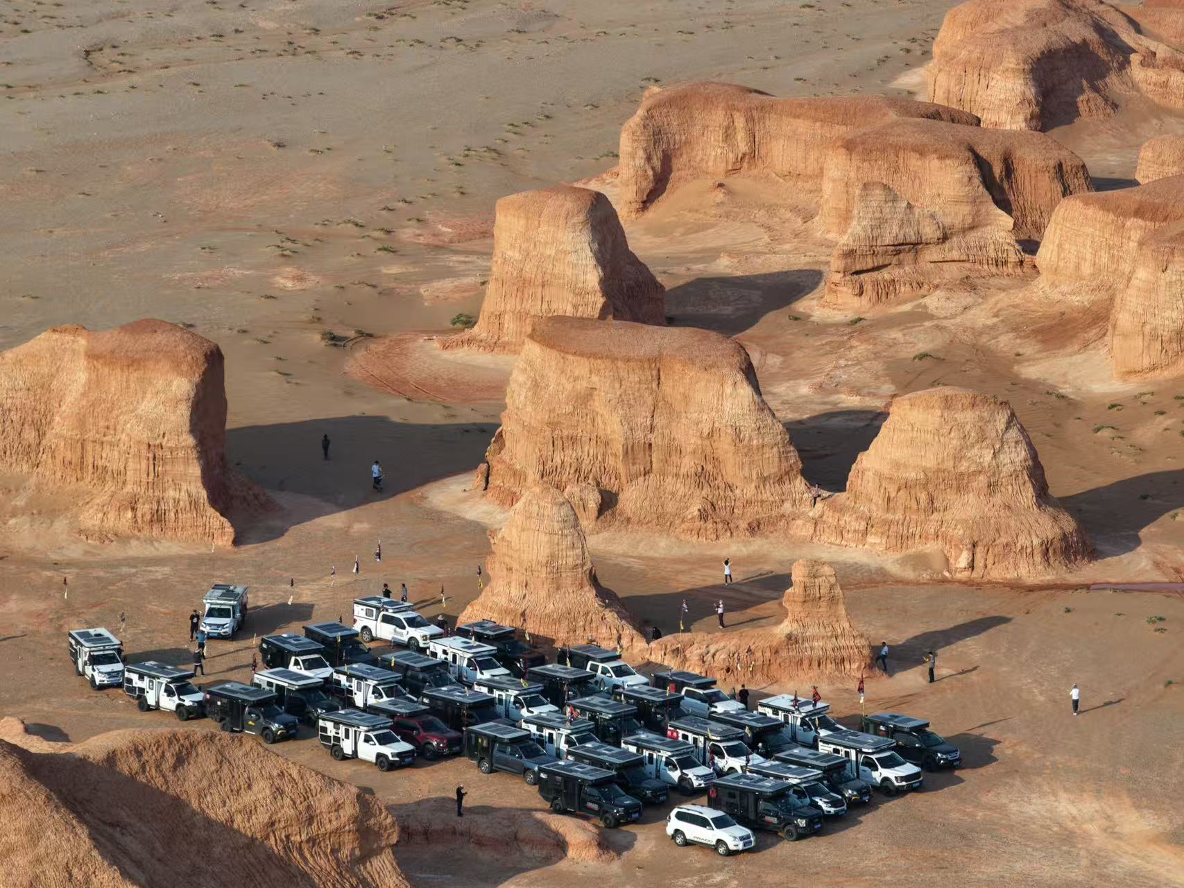 微信图片_20250528144710