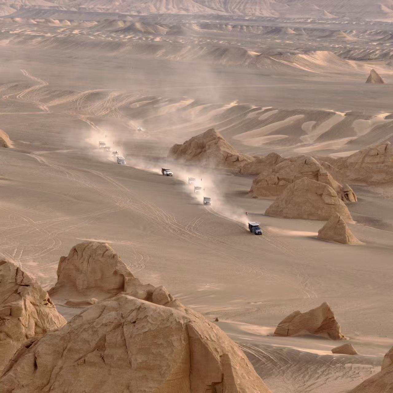 微信图片_20251008224859_287_1476