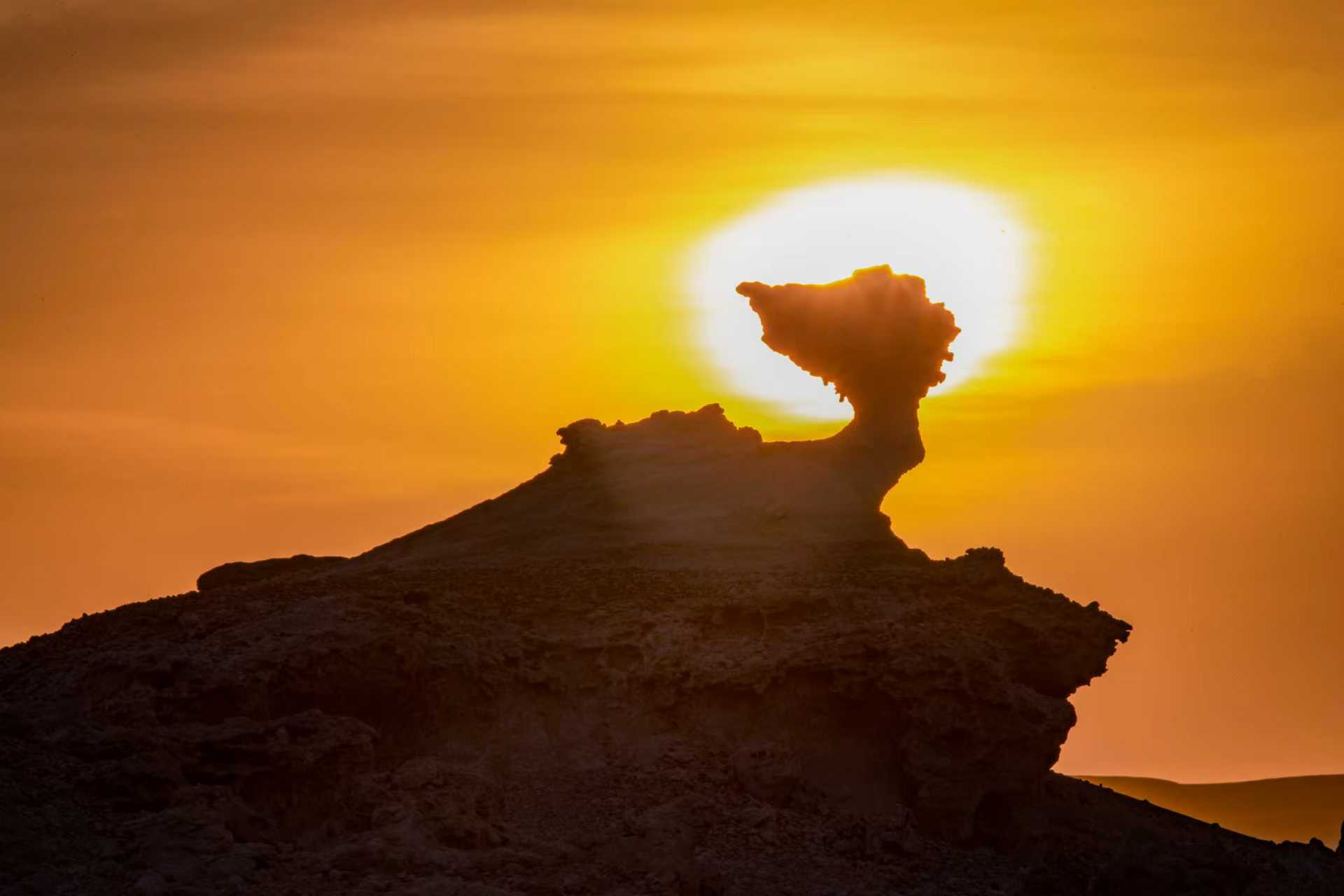 微信图片_20251009130651_334_1476