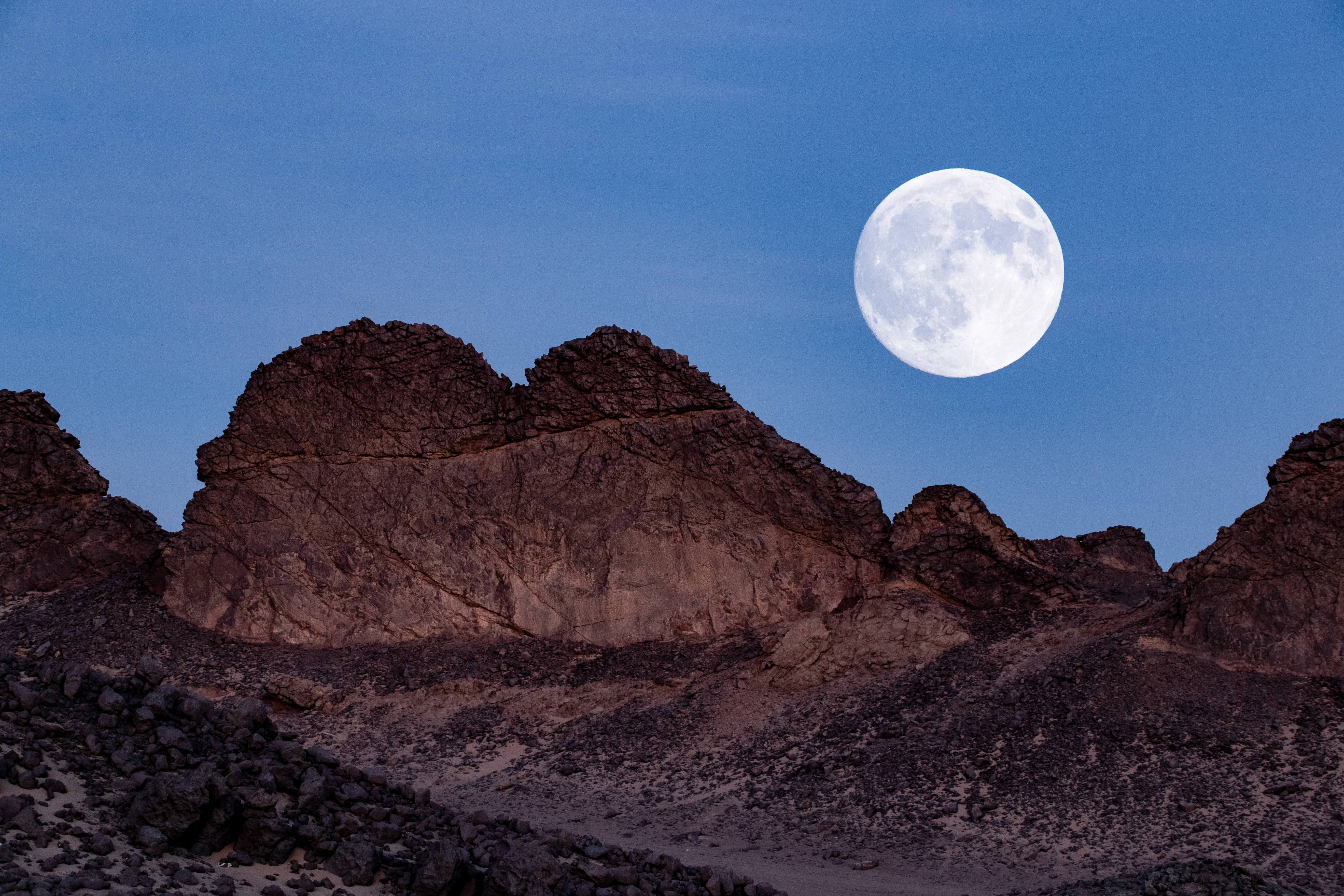 微信图片_20251009130626_332_1476